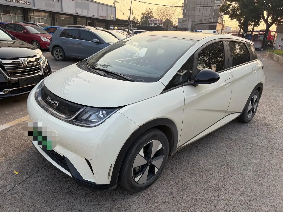 2023 BYD Dolphin BEV 44.928KWH