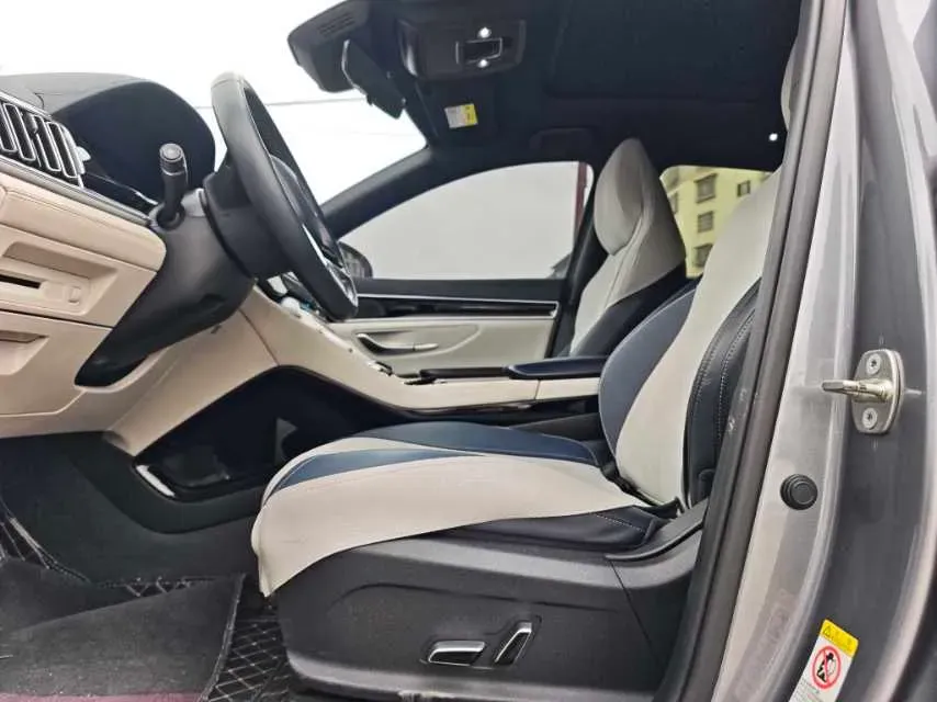 2021 SRM Sea Lion EV BEV 41.86KWH,autocango,china used car exporter,china ev exporter,chinese used car exporter,chinese used ev exporter