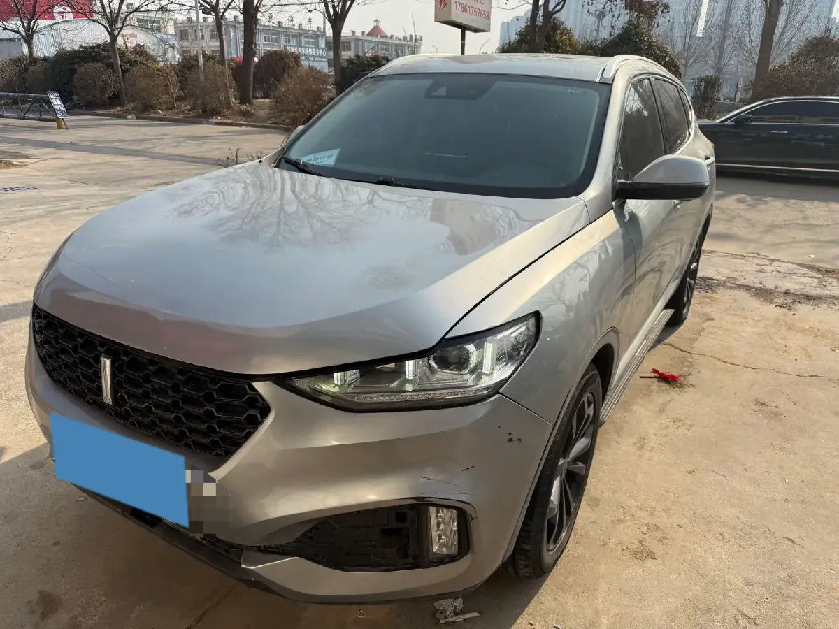 2018 WEY VV6 2.0T 197HP L4 7DCT