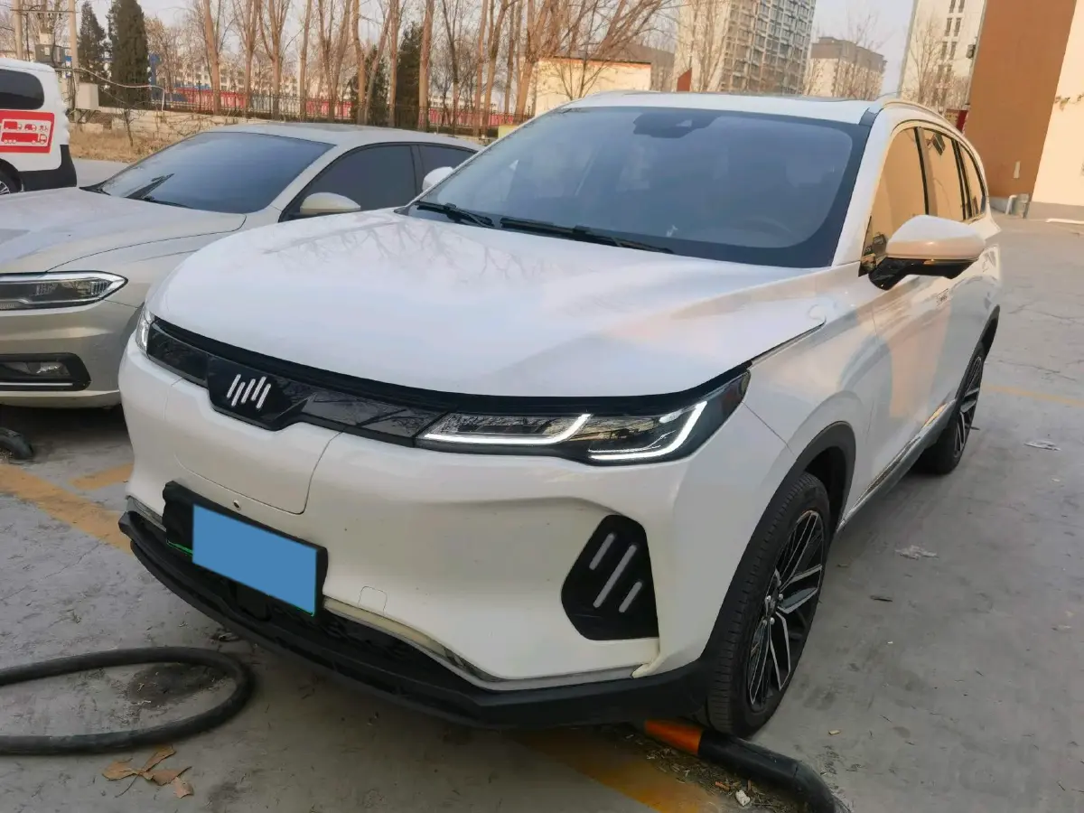 2020 Weltmeister EX6 BEV 69KWH