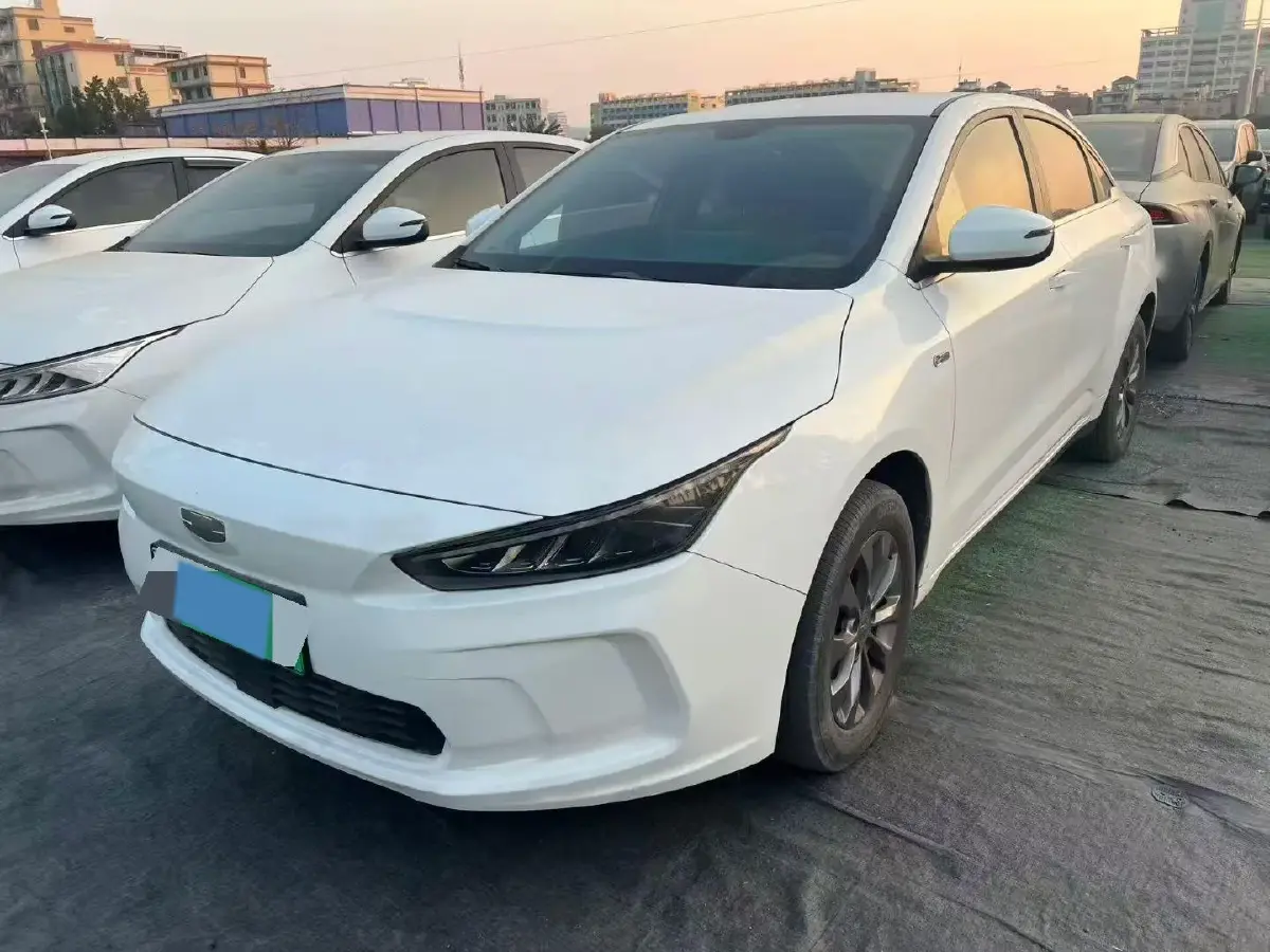 2019 Geometry A BEV 51.9KWH