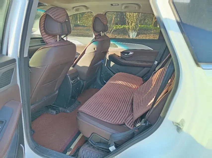 2021 JinBei Sea Lion King 2.0L 136HP L4 6MT,autocango,china used car exporter,china ev exporter,chinese used car exporter,chinese used ev exporter