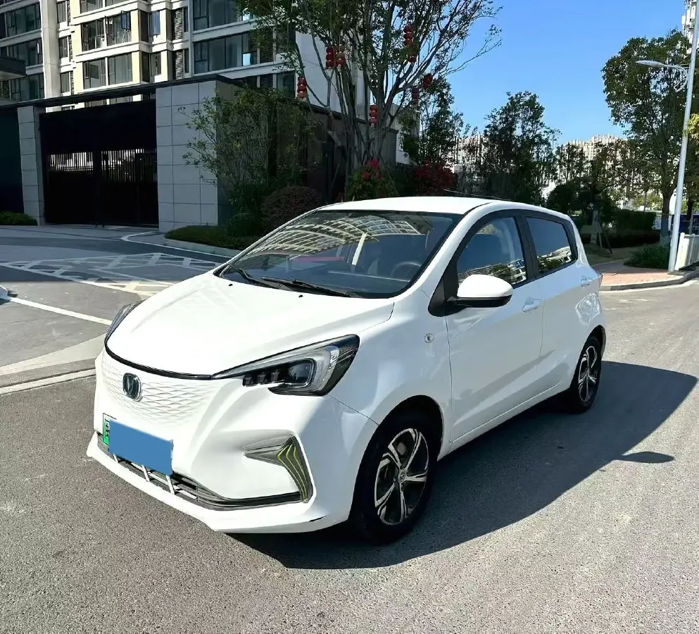 2020 ChangAn BenBen E-Star BEV 32.2KWH