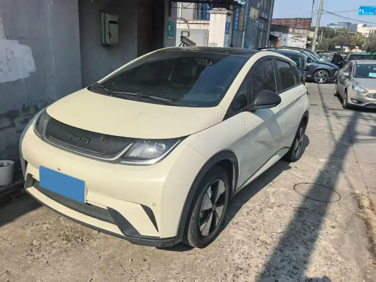 2021 BYD Yuan Pro BEV 50.1KWH