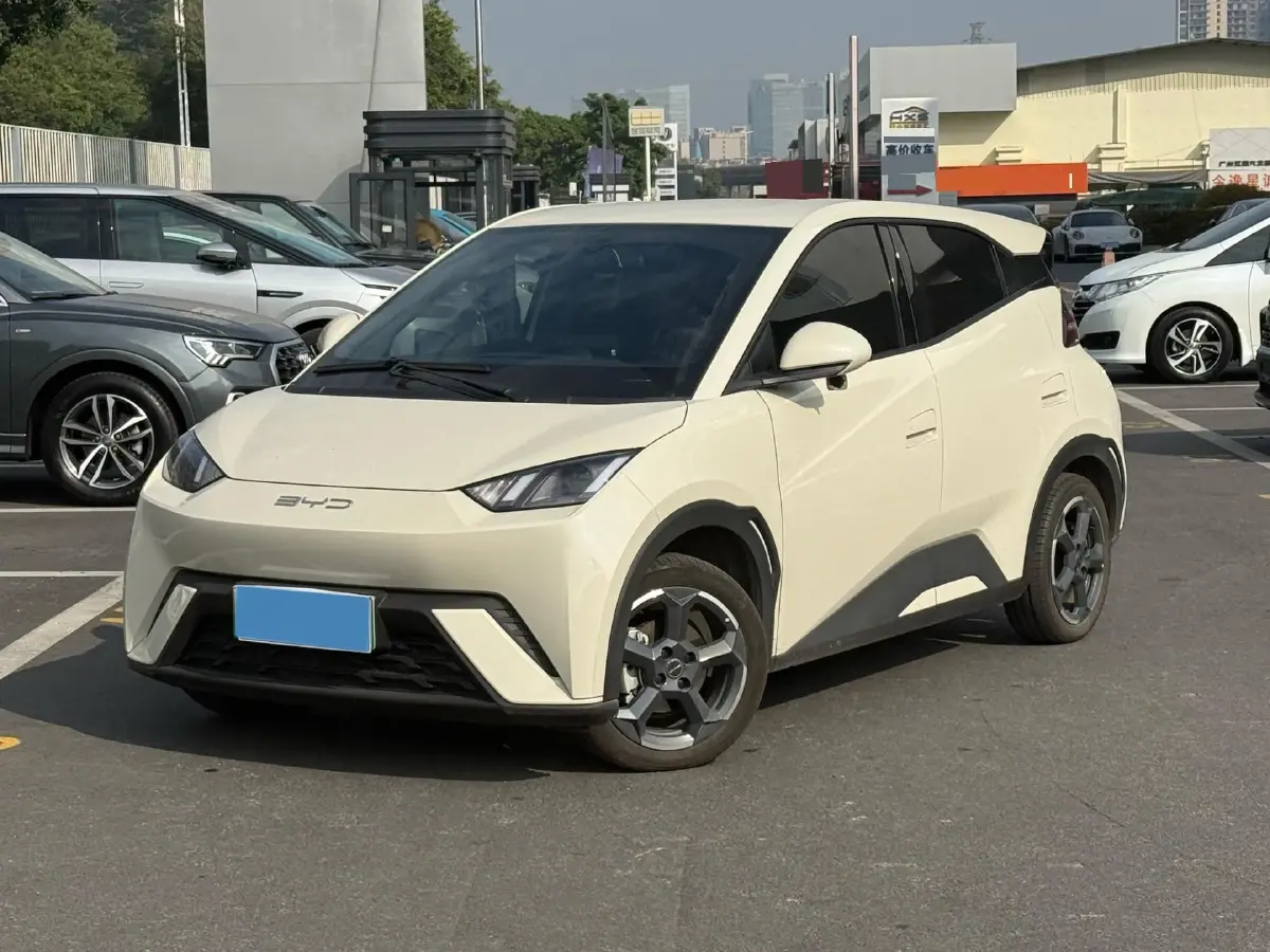 2023 BYD Yuan Pro BEV 38KWH