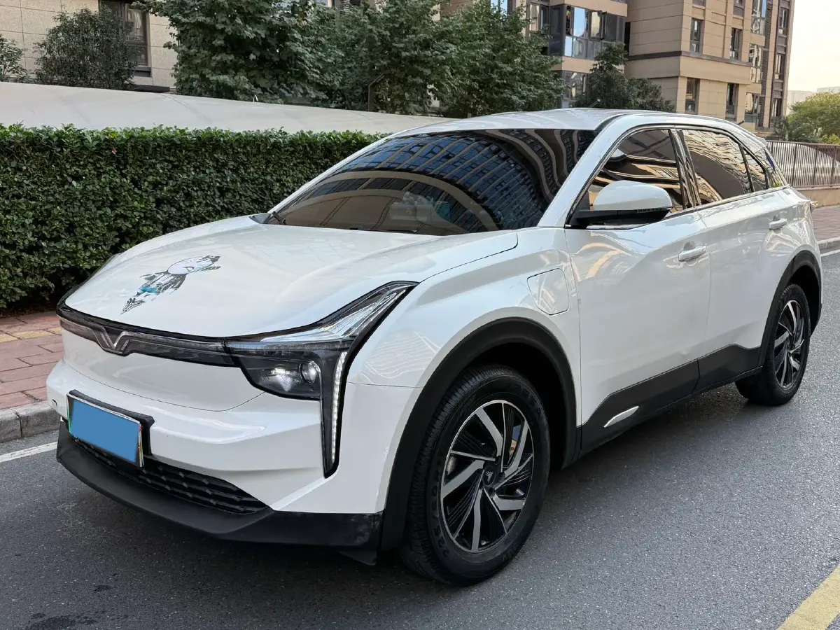 2022 Neta U BEV 55.8KWH