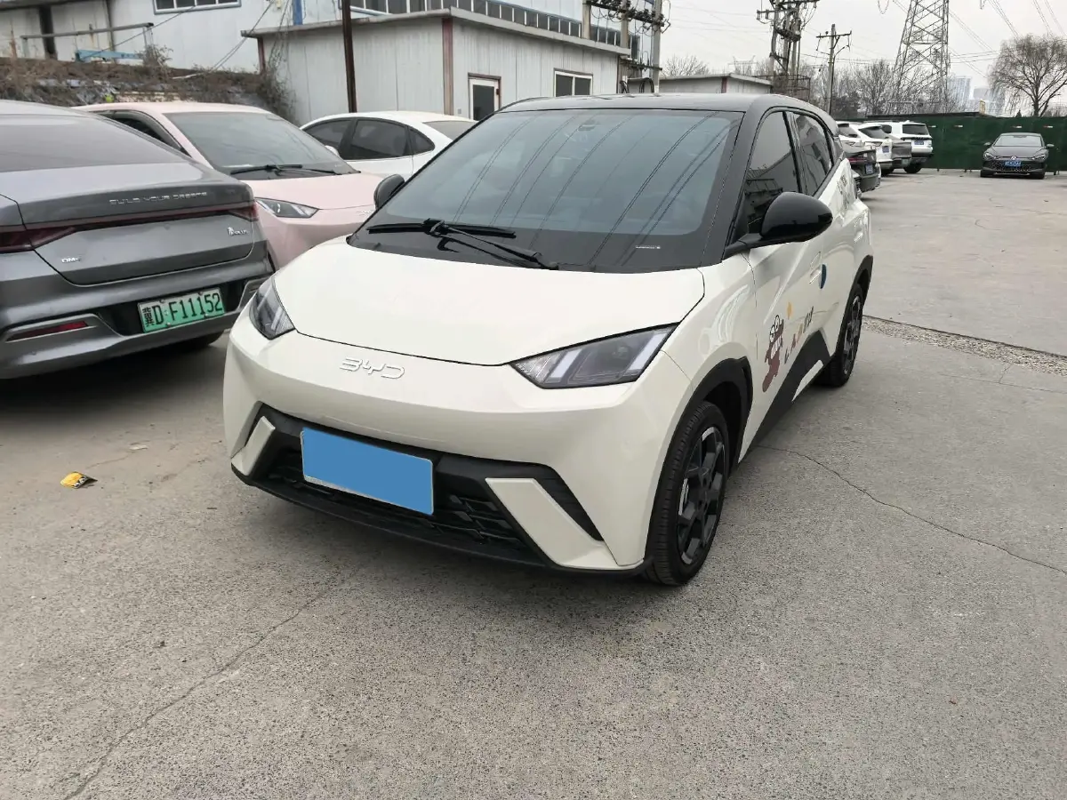 2025 BYD Seagull BEV 30.08KWH