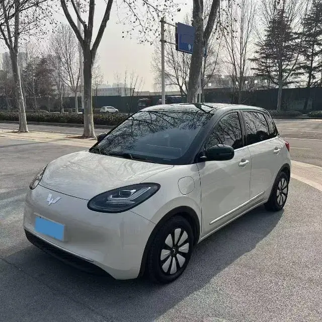 2023 WuLing BinGuo BEV 31.9KWH