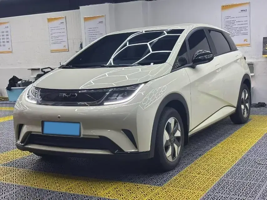 2025 BYD Dolphin BEV 45.12KWH