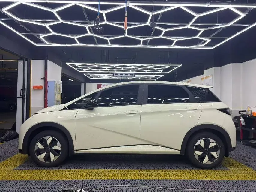 2025 BYD Dolphin BEV 45.12KWH,autocango,china used car exporter,china ev exporter,chinese used car exporter,chinese used ev exporter