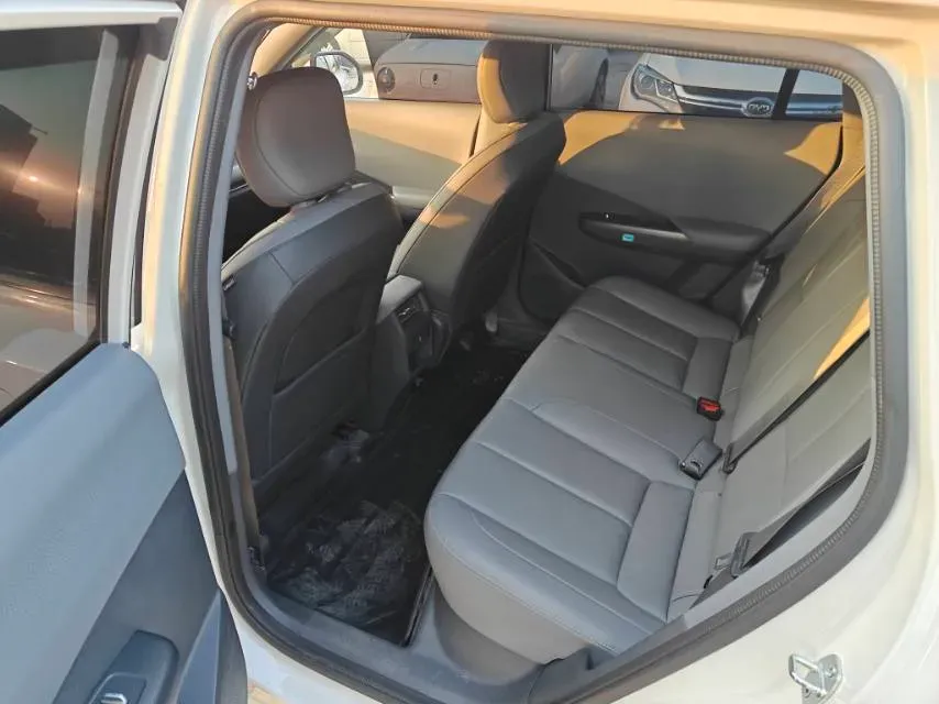 2025 DongFeng Nammi 06 BEV,autocango,china used car exporter,china ev exporter,chinese used car exporter,chinese used ev exporter