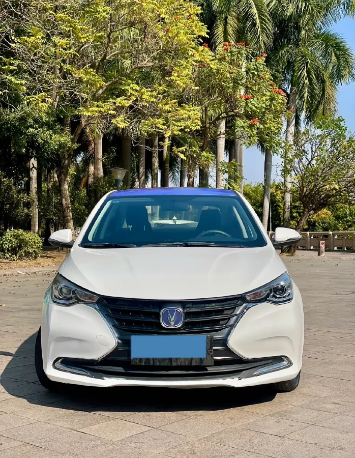 2019 ChangAn Alsvin 1.5L 107HP L4 5DCT,autocango,china used car exporter,china ev exporter,chinese used car exporter,chinese used ev exporter
