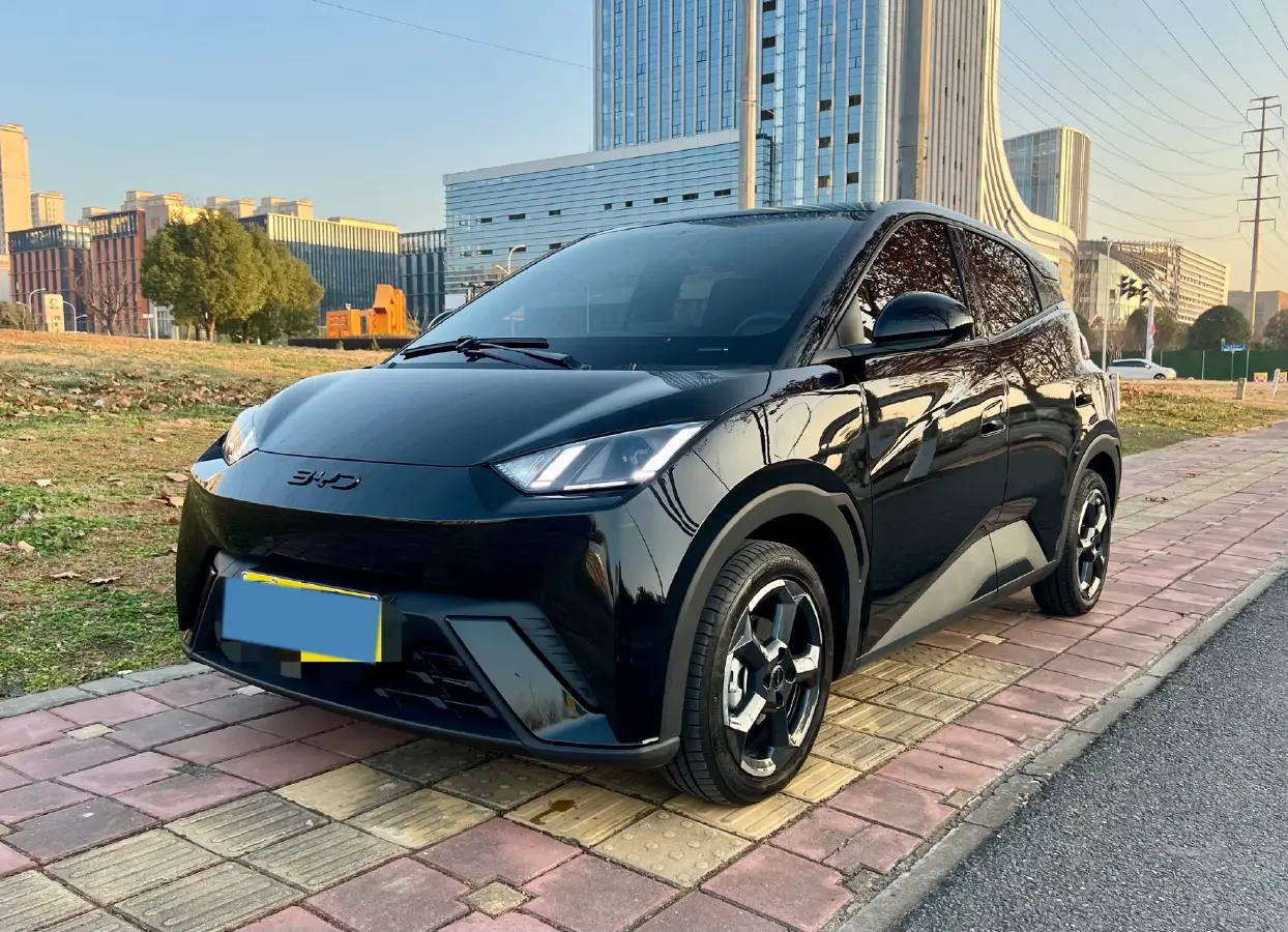 2024 BYD Seagull BEV 38.88KWH