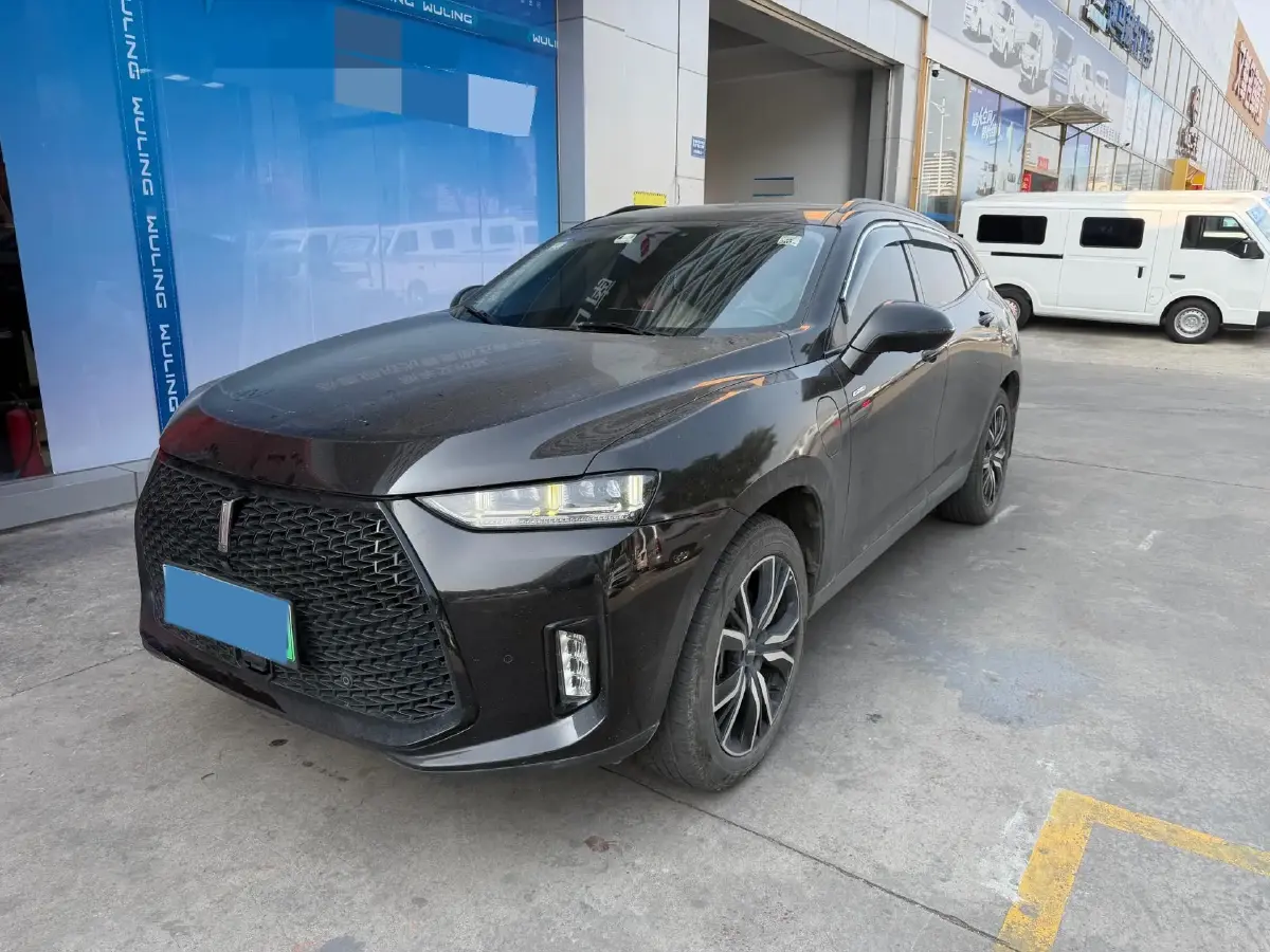 2018 WEY P8 2.0T 234HP L4 6DCT PHEV 12.96KWH