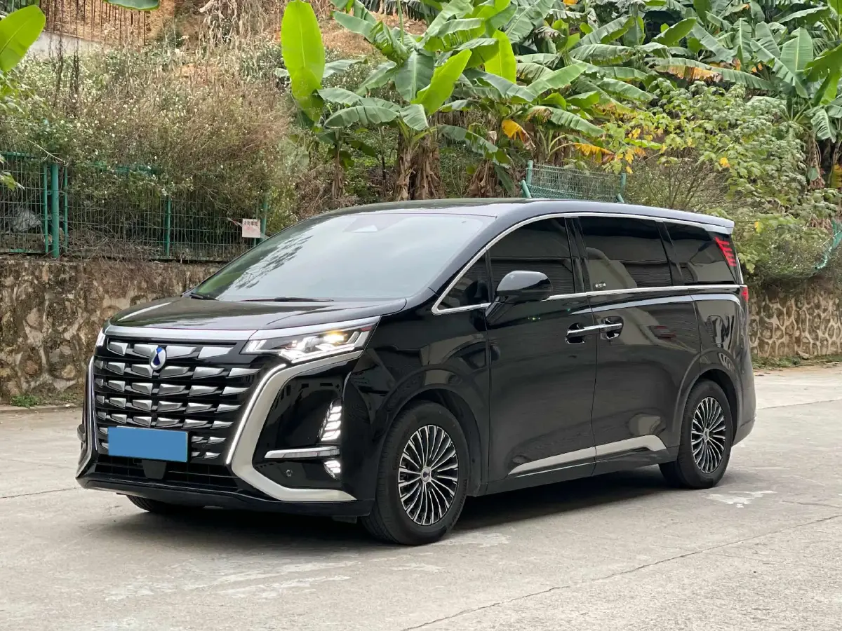 2024 Denza D9 1.5T 139HP L4 E-CVT PHEV 40KWH