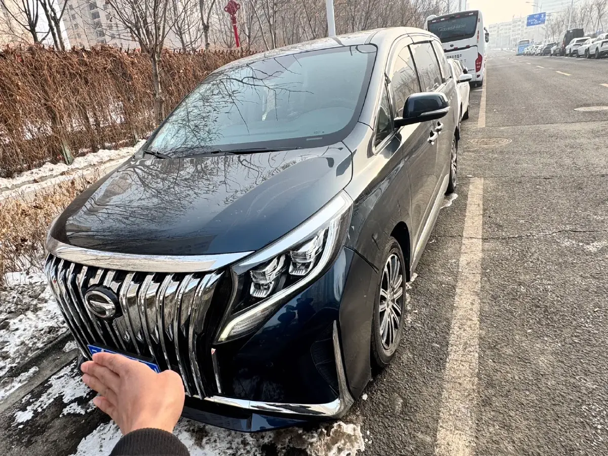 2021 GAC Trumpchi M8 2.0T 252HP L4 8AT