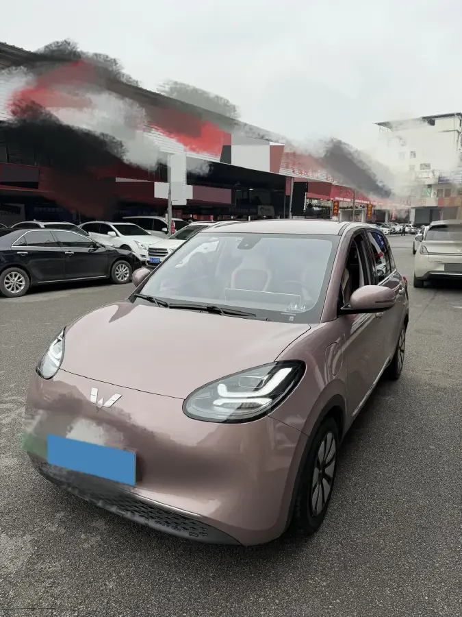 2023 WuLing BinGuo BEV 31.9KWH