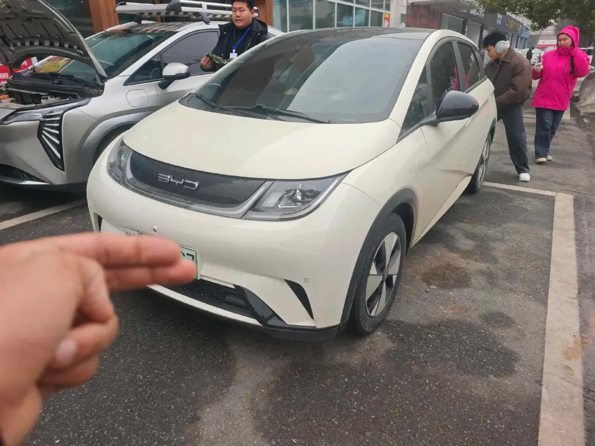 2021 BYD Yuan Pro BEV 50.1KWH