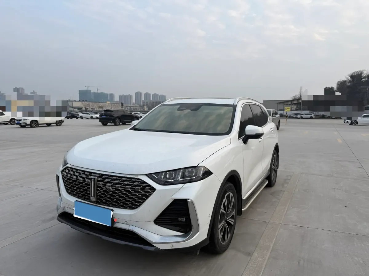 2022 WEY Latte DHT 1.5T 156HP L4 2DHT Hybrid,autocango,china used car exporter,china ev exporter,chinese used car exporter,chinese used ev exporter