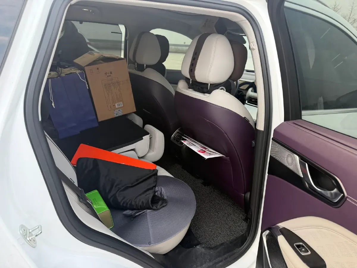 2022 WEY Latte DHT 1.5T 156HP L4 2DHT Hybrid,autocango,china used car exporter,china ev exporter,chinese used car exporter,chinese used ev exporter