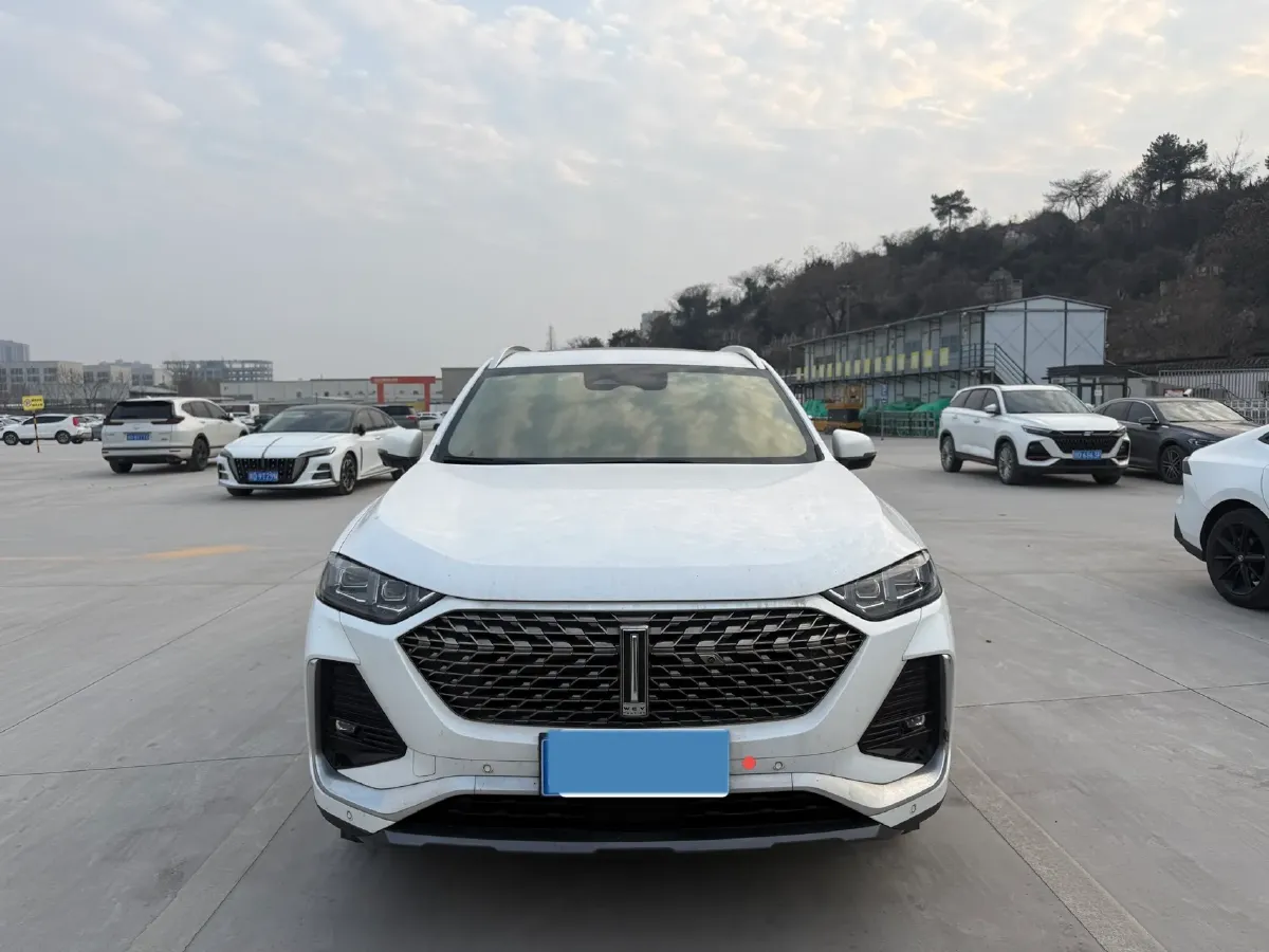 2022 WEY Latte DHT 1.5T 156HP L4 2DHT Hybrid,autocango,china used car exporter,china ev exporter,chinese used car exporter,chinese used ev exporter