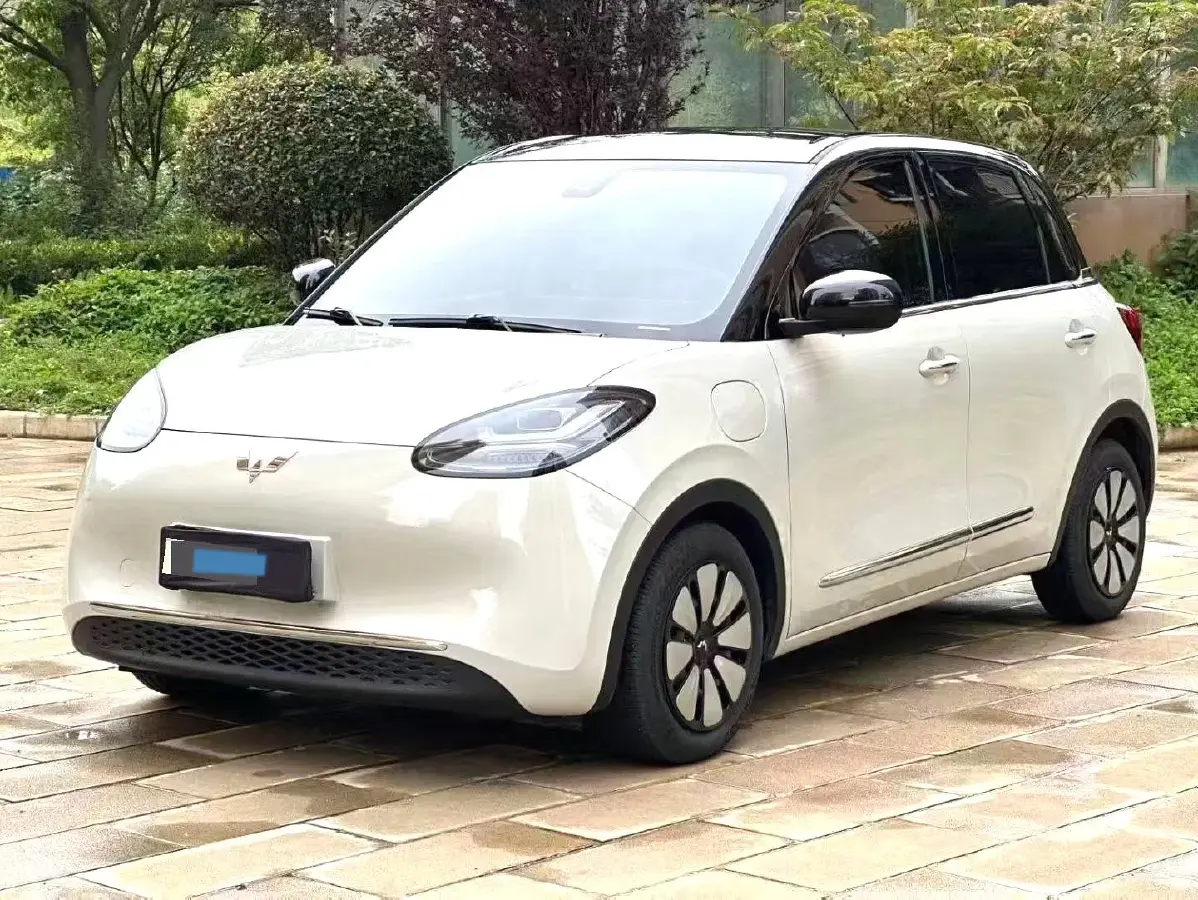 2023 WuLing BinGuo BEV 31.9KWH