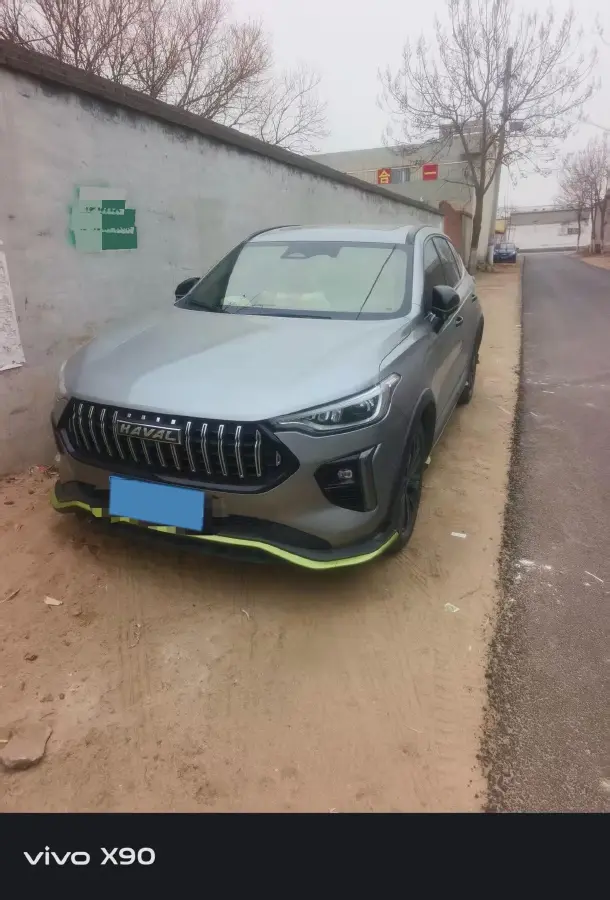 2021 Haval Rabbit 1.5T 184HP L4 7DCT