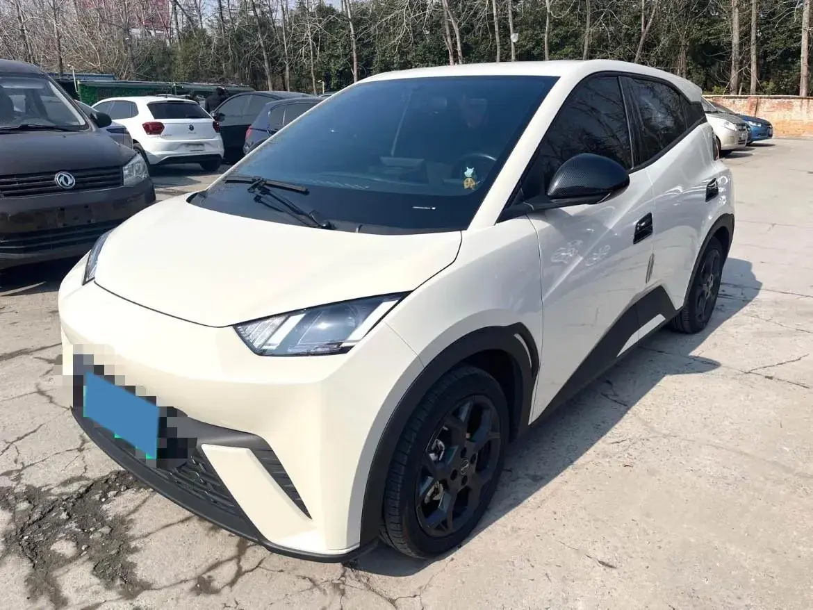 2024 BYD Seagull BEV 38.88KWH