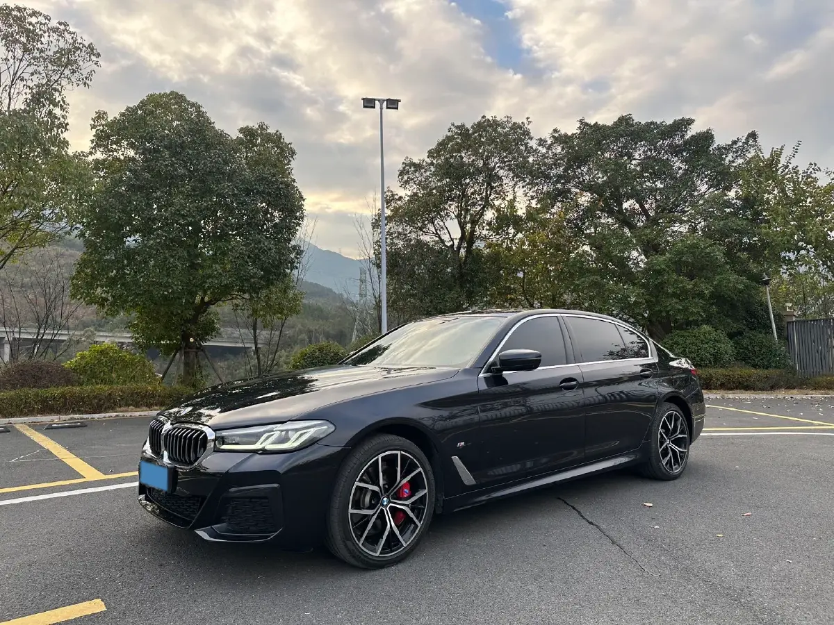 2022 BMW 5 Series 2.0T 252HP L4 8AT