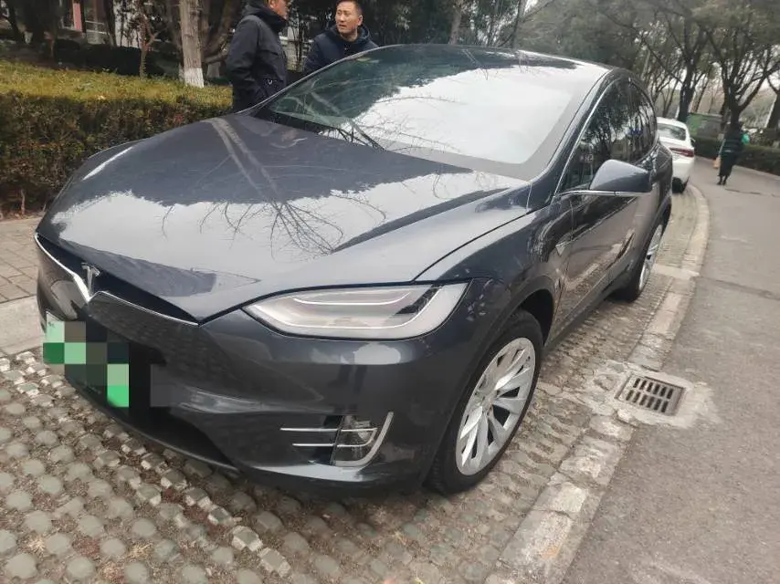 2019 Tesla Model X BEV 100KWH