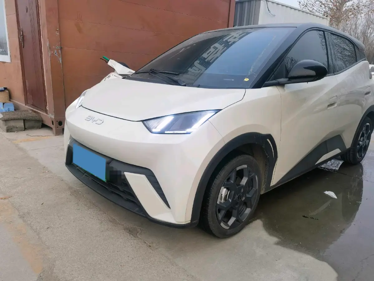 2024 BYD Seagull BEV 30.08KWH