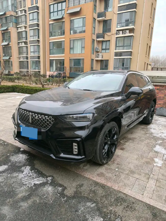 2020 WEY VV7 2.0T 227HP L4 7DCT