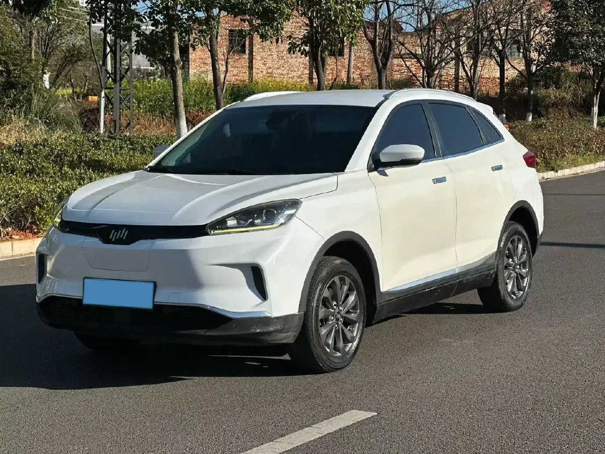 2020 Weltmeister EX5 BEV 69KWH