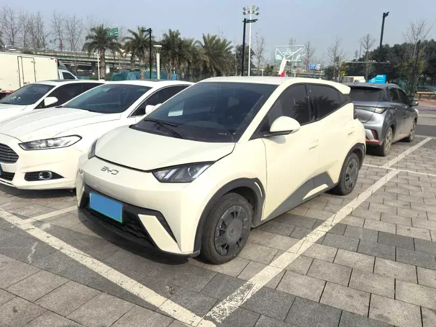 2025 BYD Seagull BEV 30.08KWH