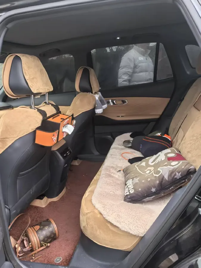 2025 Radar KingKong BEV 63KWH,autocango,china used car exporter,china ev exporter,chinese used car exporter,chinese used ev exporter