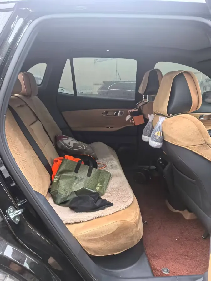 2025 Radar KingKong BEV 63KWH,autocango,china used car exporter,china ev exporter,chinese used car exporter,chinese used ev exporter