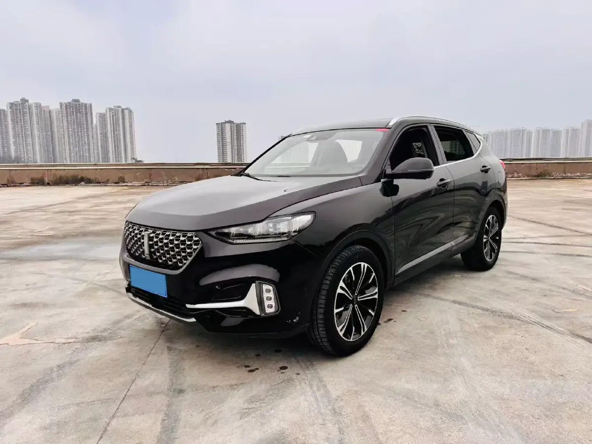 2021 WEY VV6 2.0T 227HP L4 7DCT