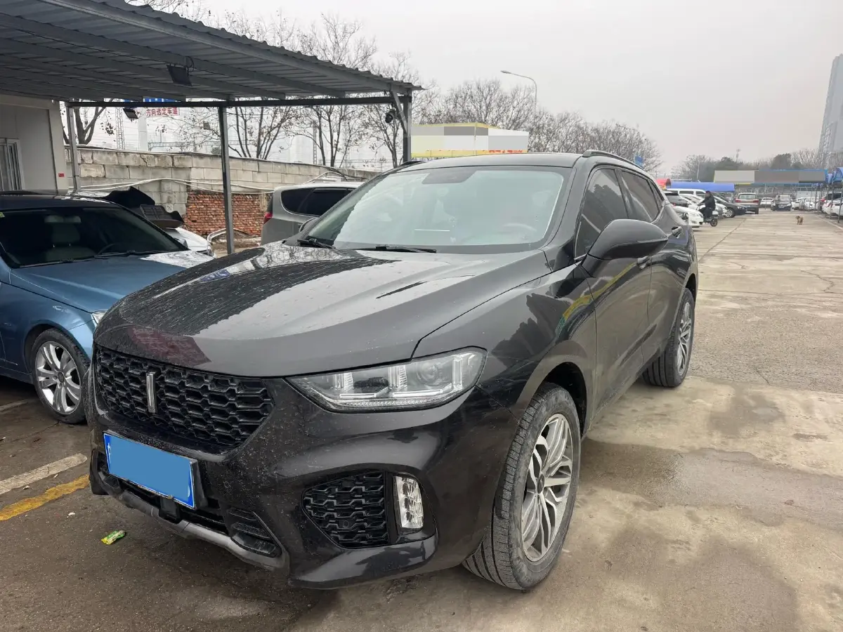 2017 WEY VV5 2.0T 197HP L4 7DCT