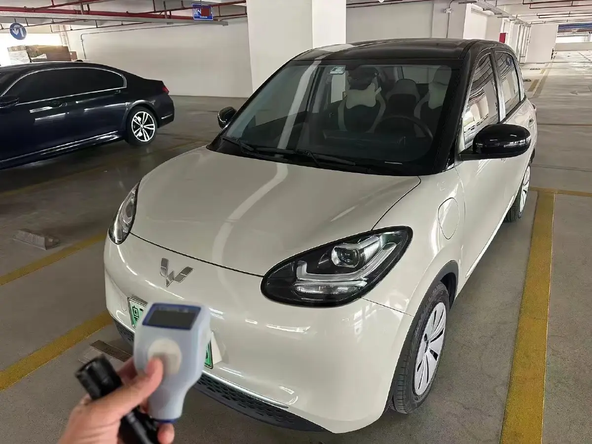 2023 WuLing BinGuo BEV 31.9KWH