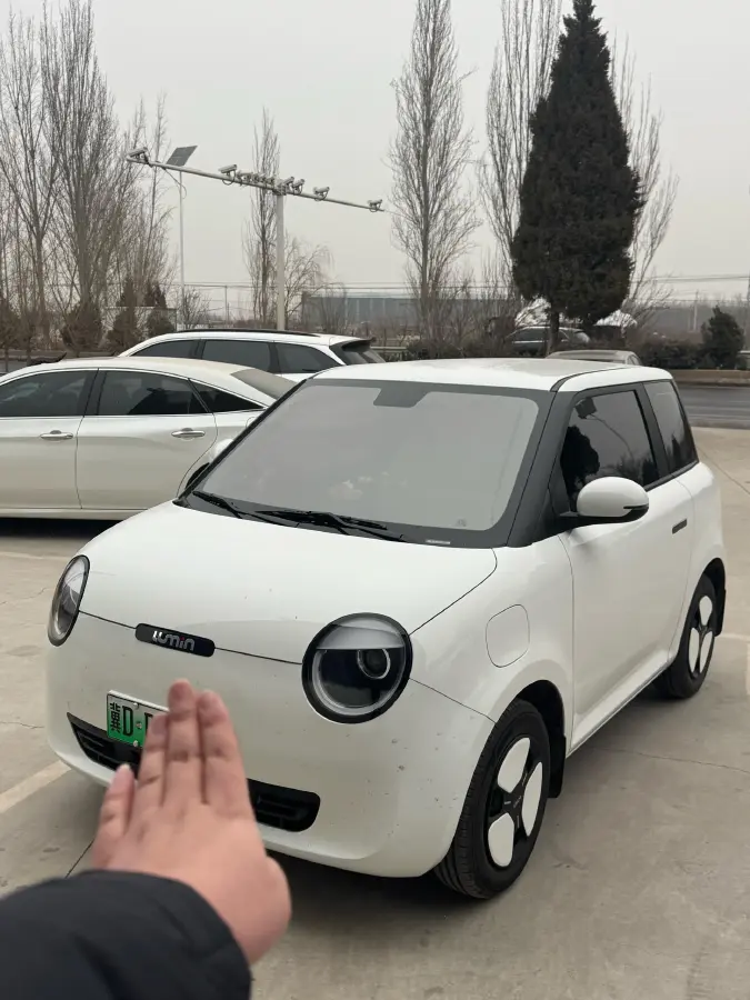 2022 Levdeo Mango BEV 17.28KWH