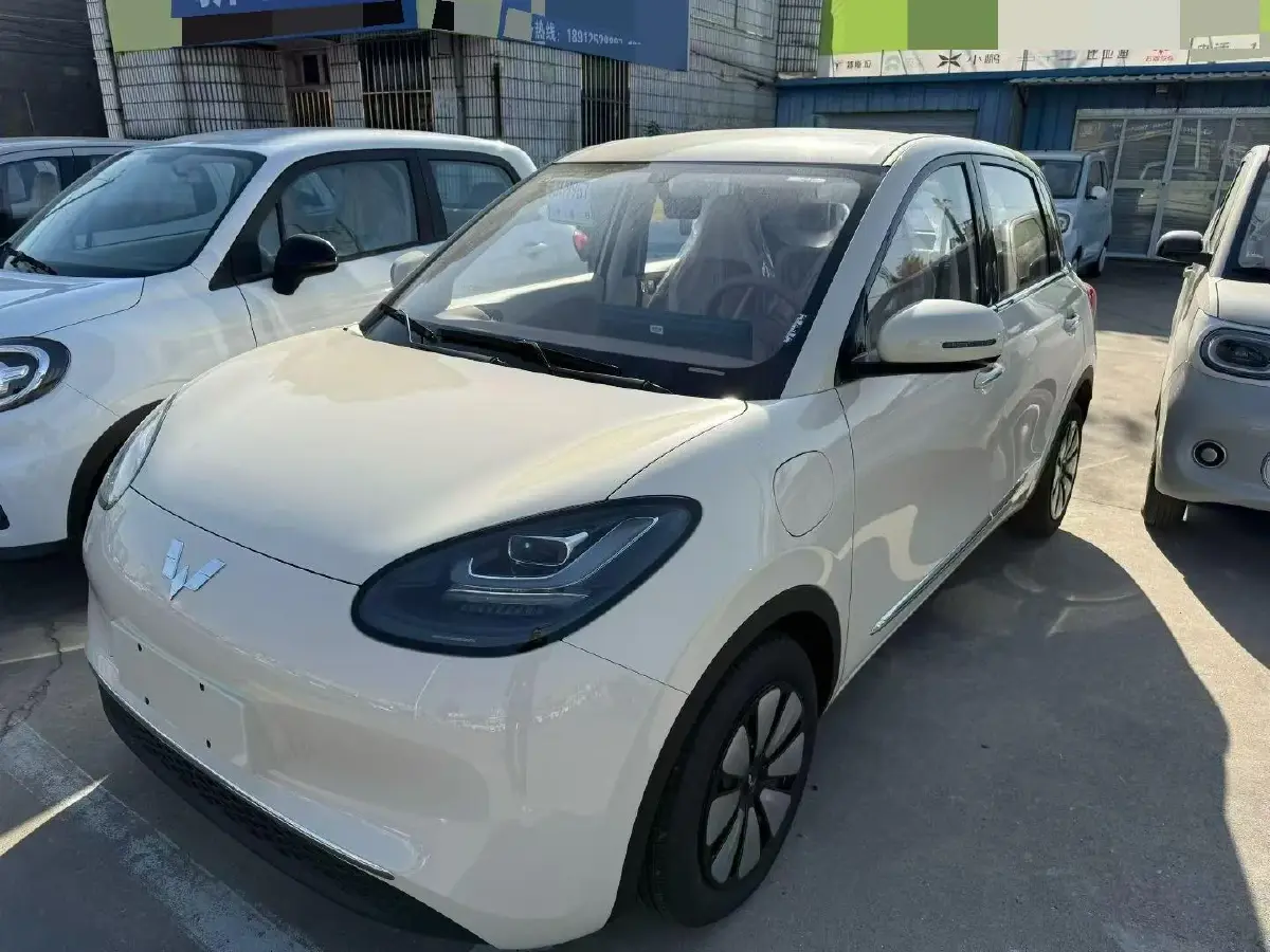 2023 WuLing BinGuo BEV 31.9KWH