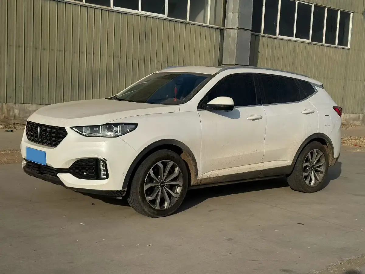 2018 WEY VV6 2.0T 197HP L4 7DCT