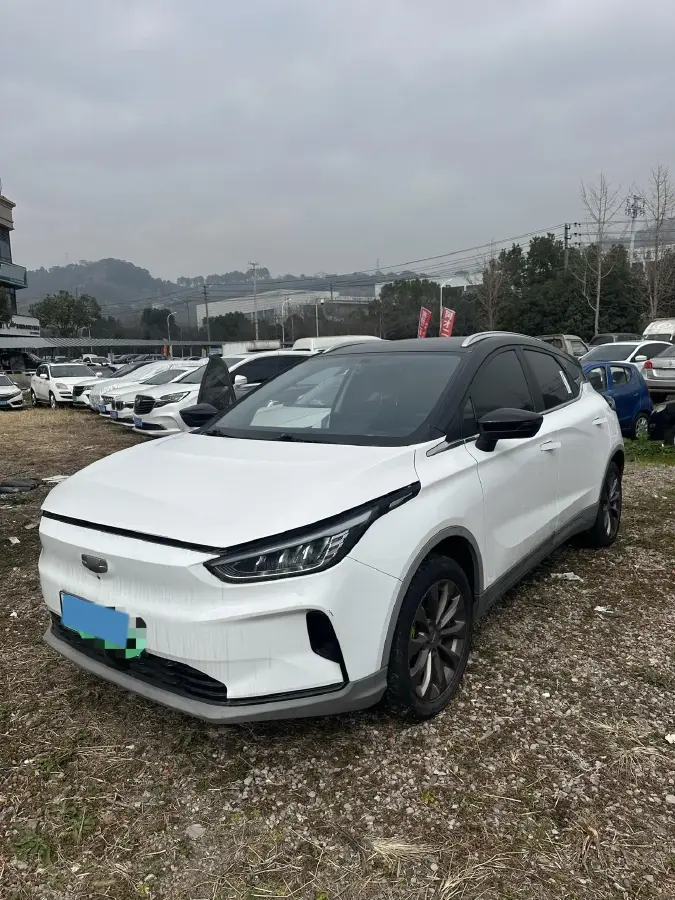 2020 Geometry C BEV 70KWH