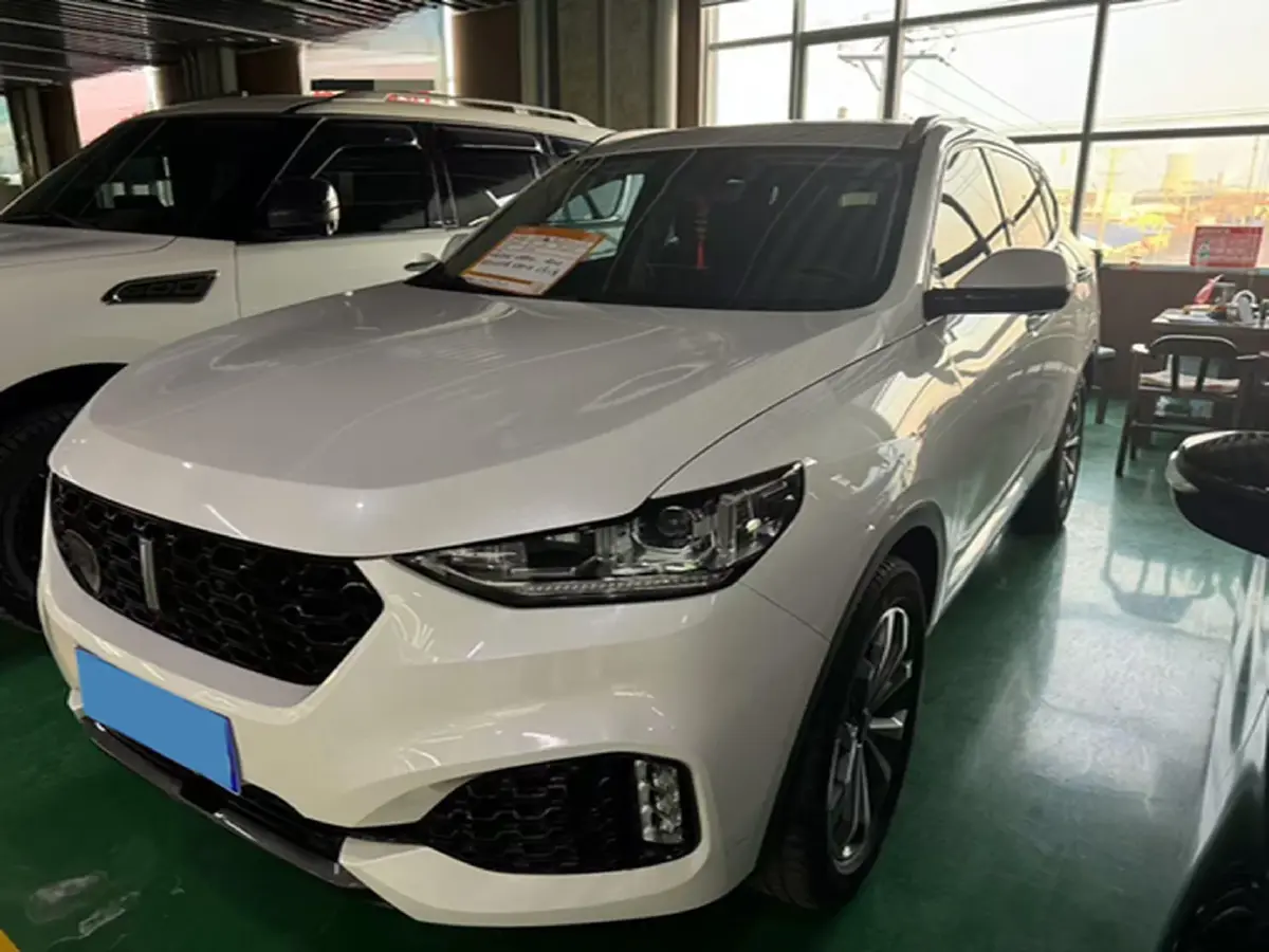 2018 WEY VV6 2.0T 197HP L4 7DCT