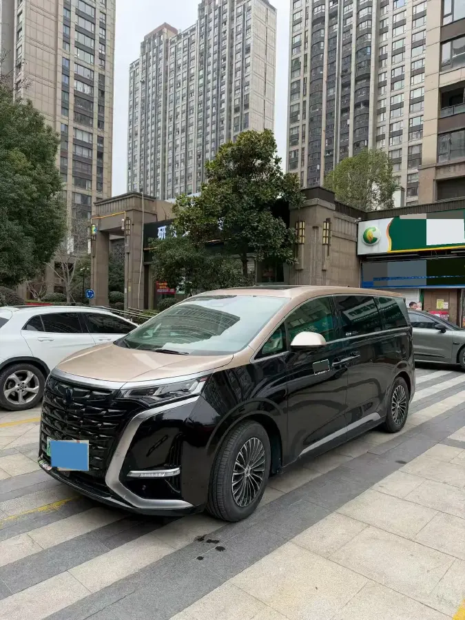 2023 Denza D9 1.5T 139HP L4 E-CVT PHEV 11.06KWH