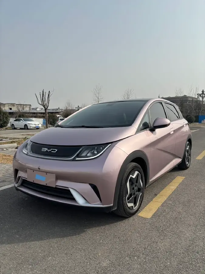 2021 BYD Yuan Pro BEV 50.1KWH