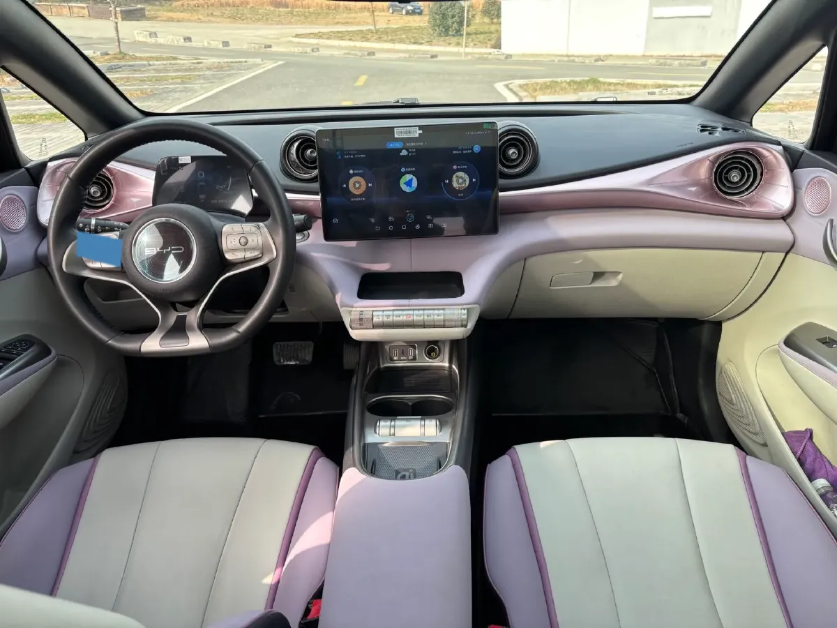 2021 BYD Yuan Pro BEV 50.1KWH,autocango,china used car exporter,china ev exporter,chinese used car exporter,chinese used ev exporter