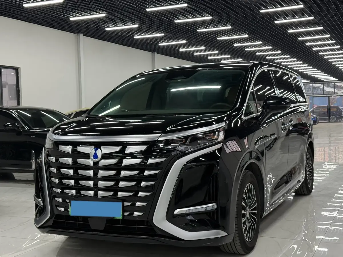 2023 Denza D9 1.5T 139HP L4 E-CVT PHEV 11.06KWH