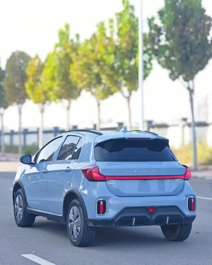 2023 Yudo Rabbit BEV 31.95KWH,autocango,china used car exporter,china ev exporter,chinese used car exporter,chinese used ev exporter