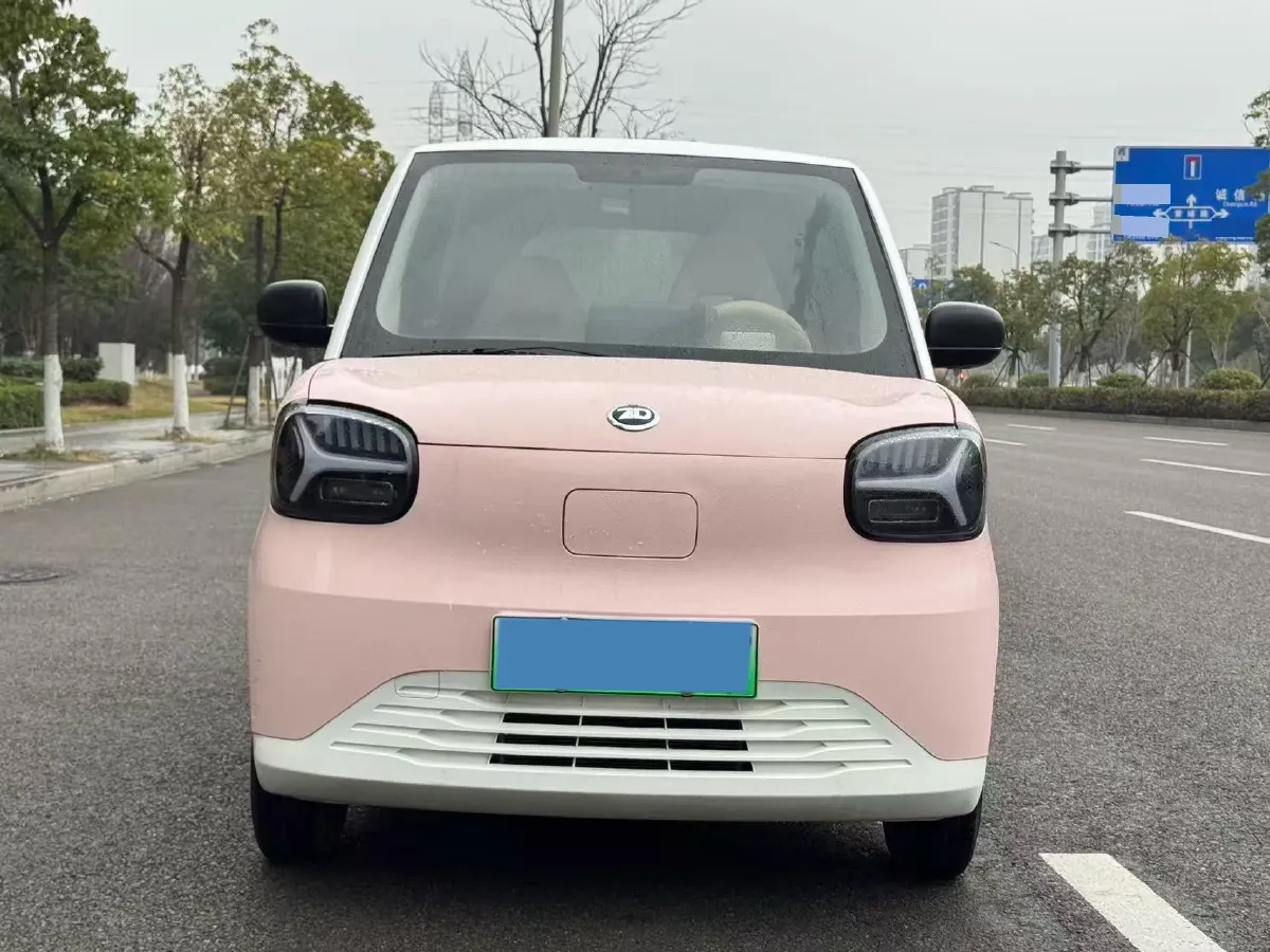 2024 ZD Rainbow BEV 17.3KWH,autocango,china used car exporter,china ev exporter,chinese used car exporter,chinese used ev exporter